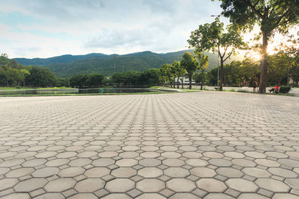 Best Affordable Driveway Pavers  in Livonia, MI