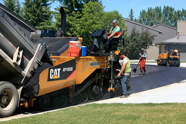 Best Driveway Paving Contractor  in Livonia, MI